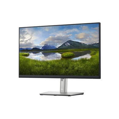 Dell P2422H | 24" 