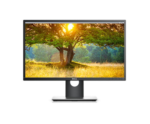 Dell P2417H | 24&quot;