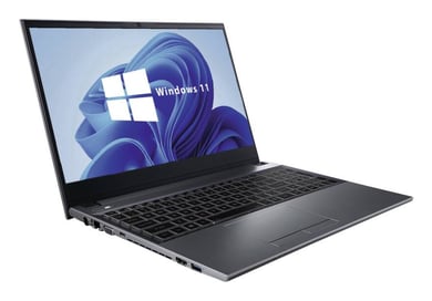 Hyrican Informationssysteme AG Hyrican Notebook N350TW | 15.6" | i5-9500T | 16 GB RAM | 256 GB SSD